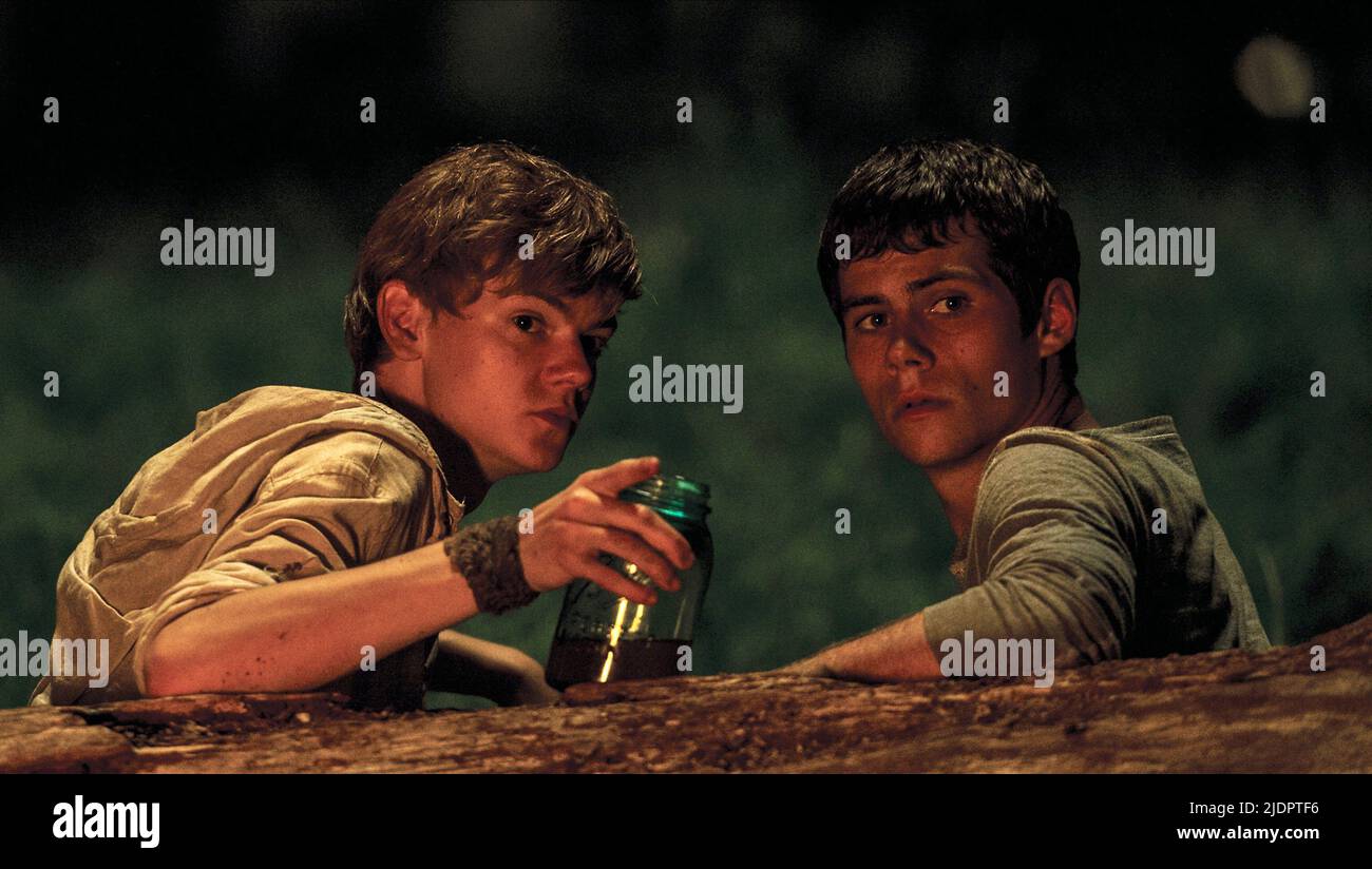 BRODIE-SANGSTER,O'BRIEN, THE MAZE RUNNER, 2014, Stock Photo