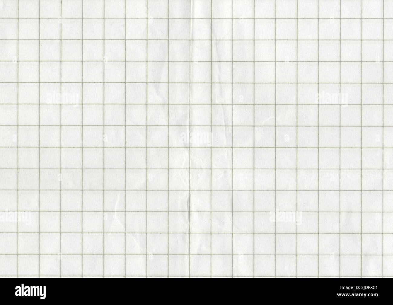 Thelonious　graphpaper yellow_dtl_1024x1024.jpg?v=