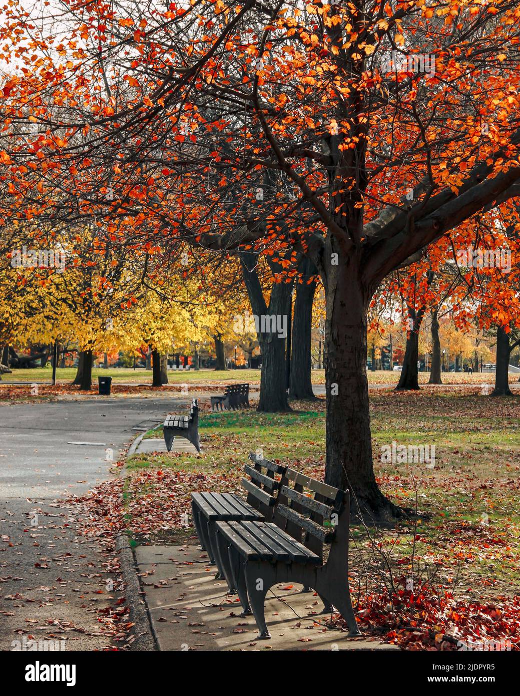 Fall In Corona Park. Corona Park Queens Newyork Stock Photo