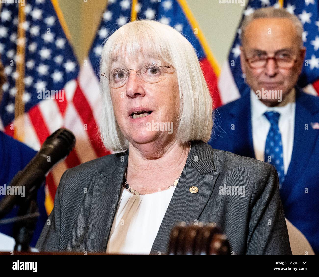 Artistic Senator Patty Murray Updates Landscape for Mobile Artistic Senator Patty Murray Updates Landscape for Mobile