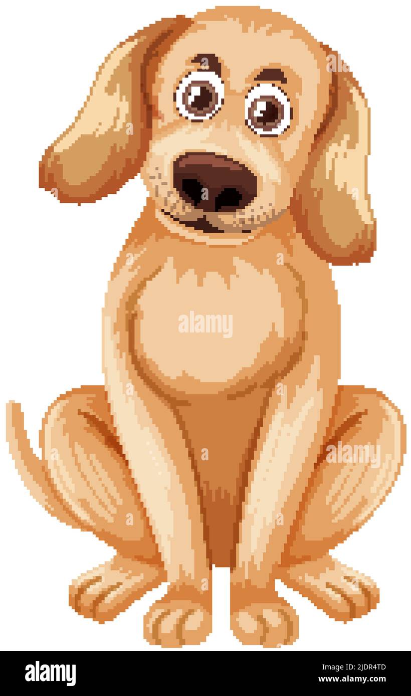 Golden retriever dog isolated illustration Stock Vector Image & Art - Alamy
