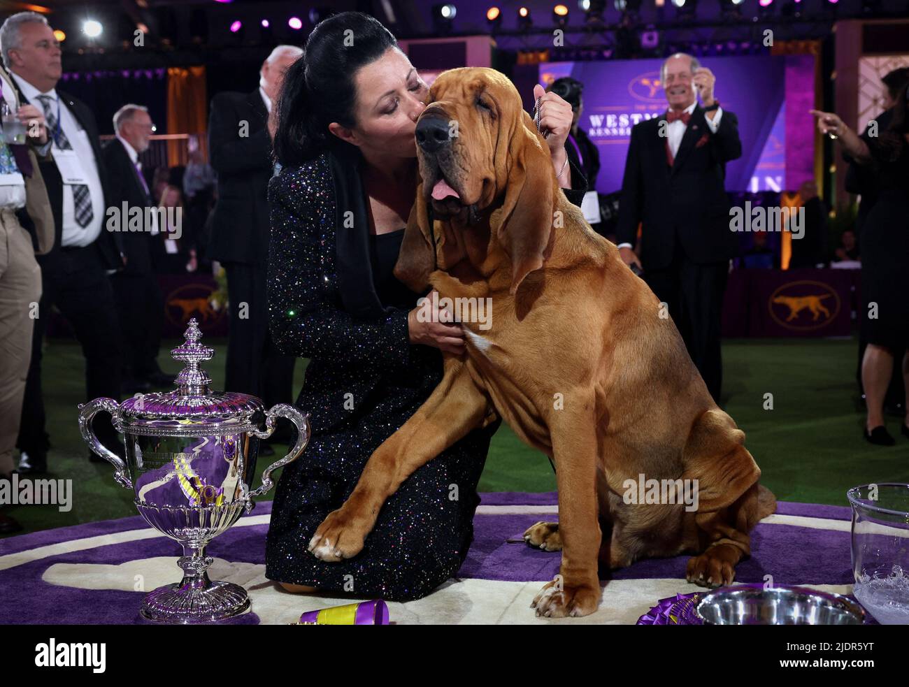 Trumpet, a Bloodhound, is kissed his handler Heather Helmer after winning 'Best in Show' at the 146th Westminster Kennel Club Dog Show at the Lyndhurst Estate in Tarrytown, New York, U.S., June 22, 2022. REUTERS/Mike Segar Stock Photo