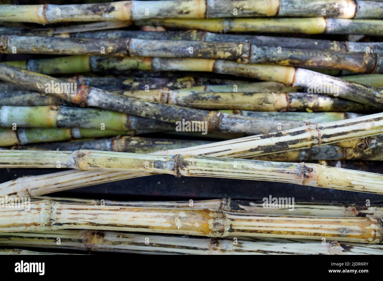 Making sugar cane juice hires stock photography and images Alamy
