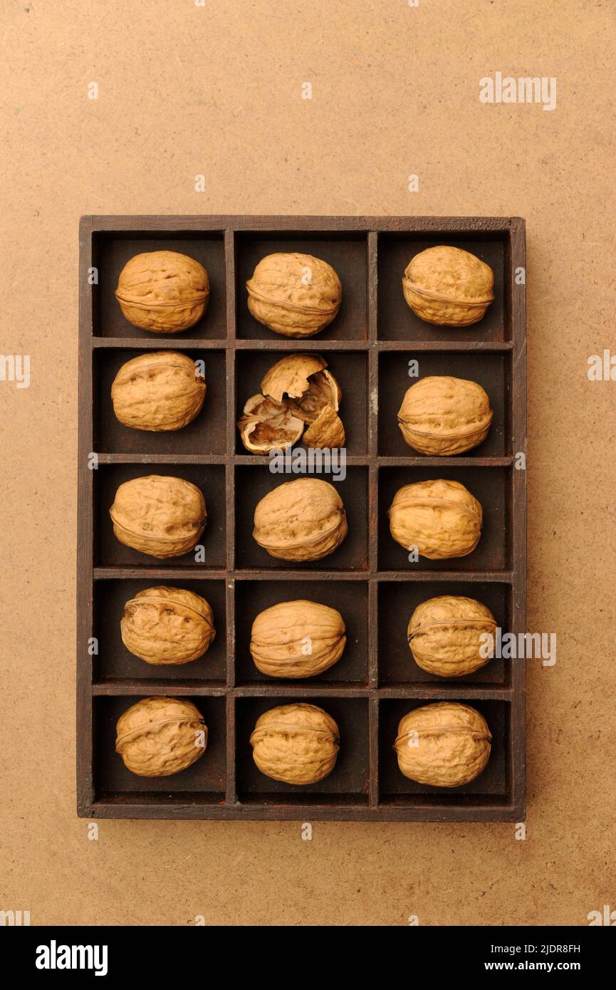 box with compartments filled with walnuts, one broken Stock Photo