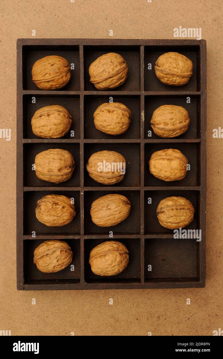box with compartments filled with walnuts, one missing Stock Photo