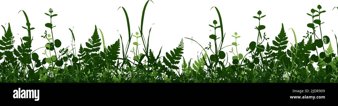 Vector bright green realistic seamless grass border isolated background ...