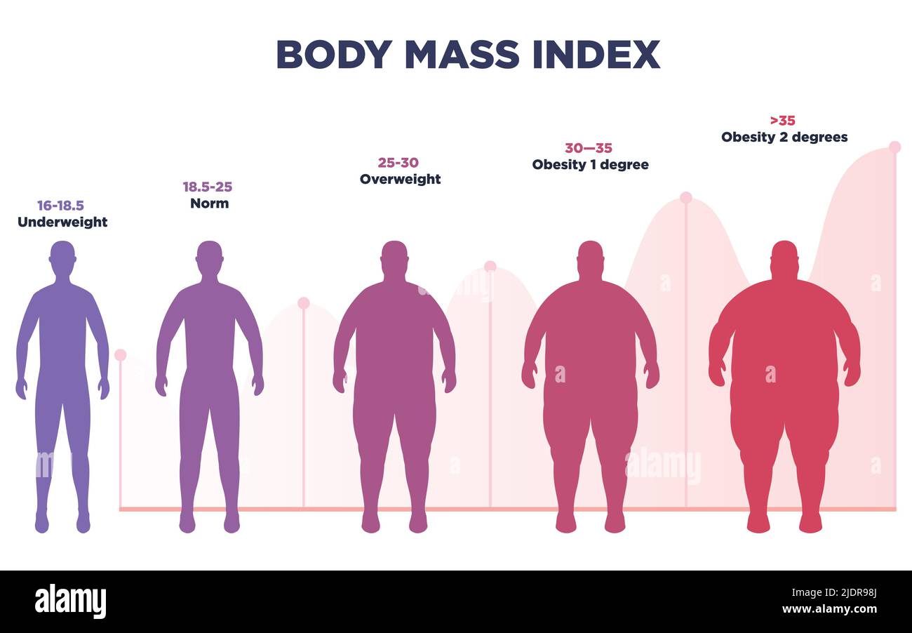 Body Mass Index Chart, BMI of Man and Woman Scale Stock Vector -  Illustration of female, obesity: 237222034