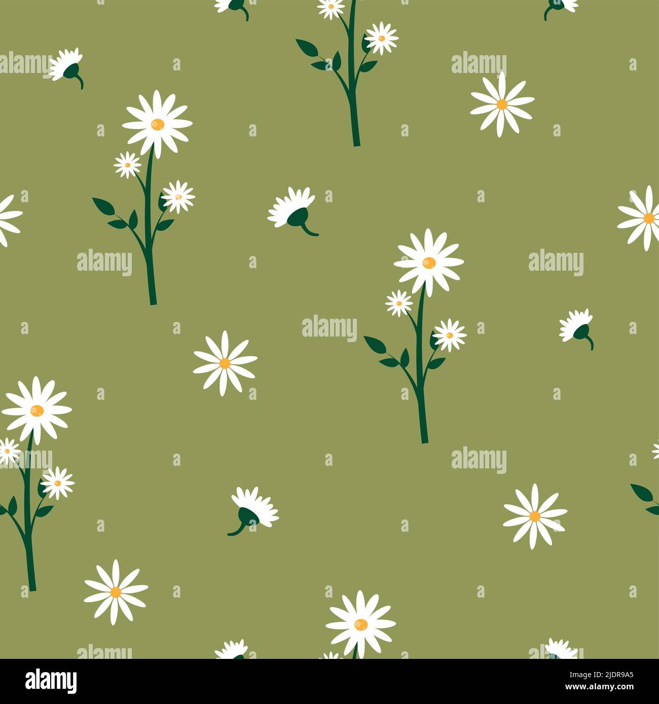 Vector seamless pattern with chamomile. Stock Vector