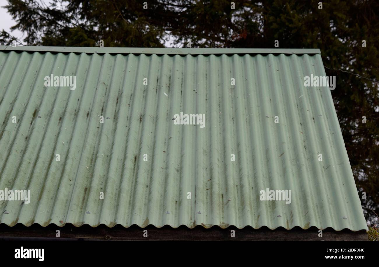 detail of corrugated iron roof, suffolk england Stock Photo