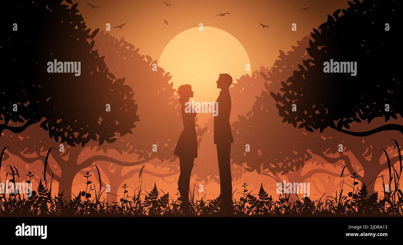 Silhouette couple in a forest with trees and birds. Sunset in a forest ...
