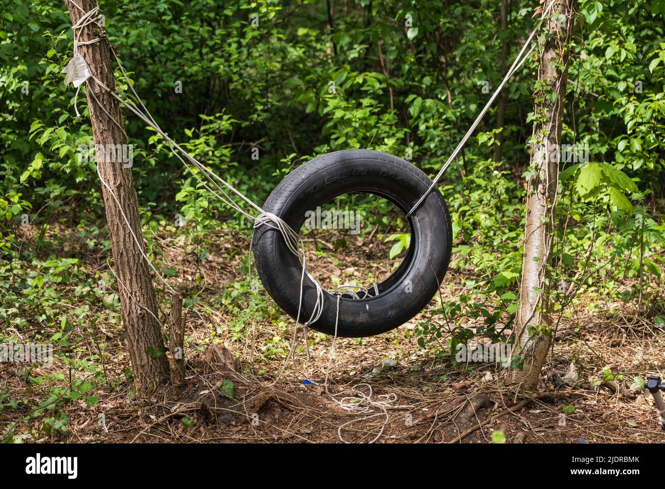 Simple swing in the forest, improvised construction with car tire and rope between two trees. Stock Photo