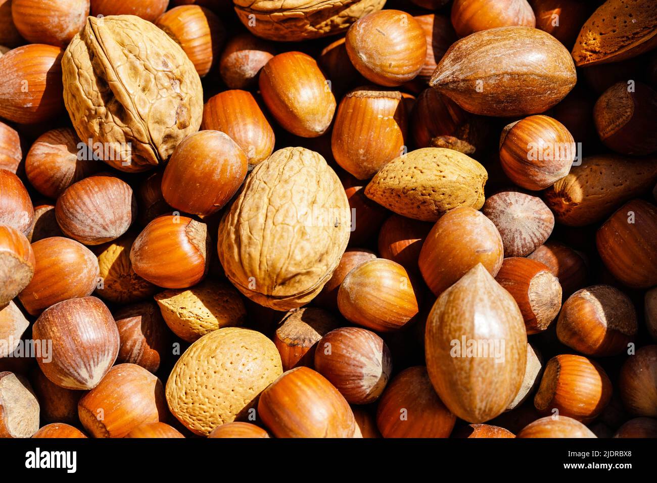 a stack of different nut tree fruits Stock Photo Alamy