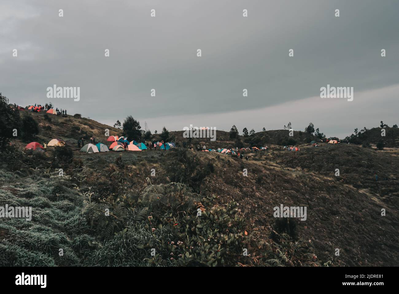Teletubbies Hill in Prau Mountain Dieng, Wonosobo, Indonesia Stock Photo