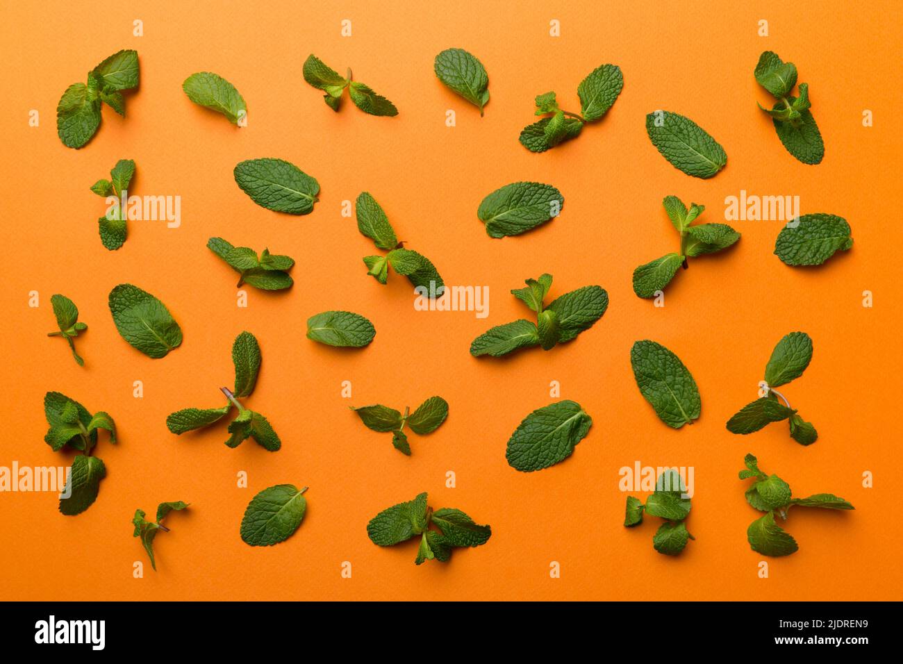Fresh green mint leaves on white background, Mint leaves pattern Top ...