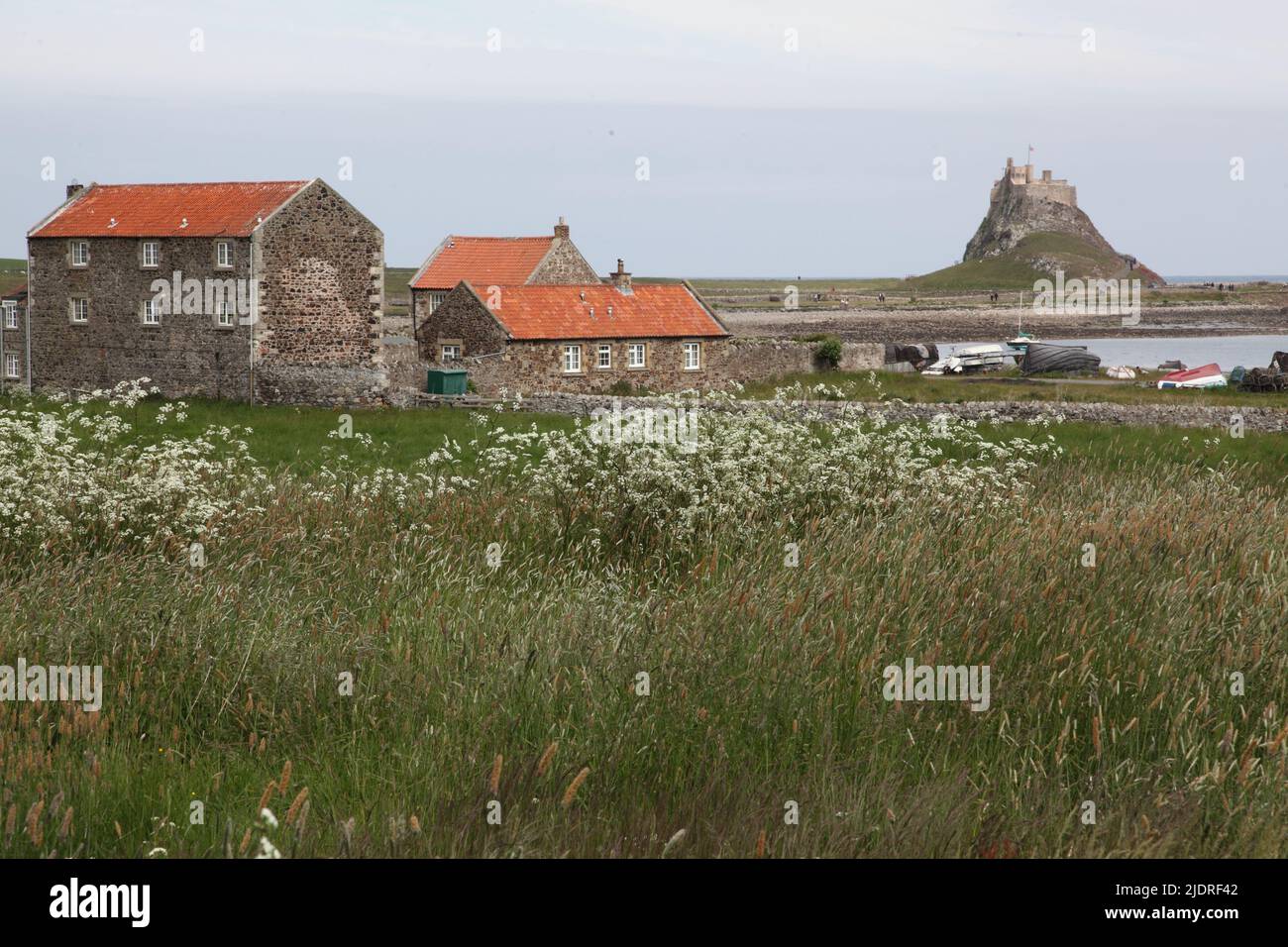 Lindisfarne Castle, converted from a fort in 1903 by Sir Edward Lutyens, from the Harbour on Holy Island, Northumberland Stock Photo