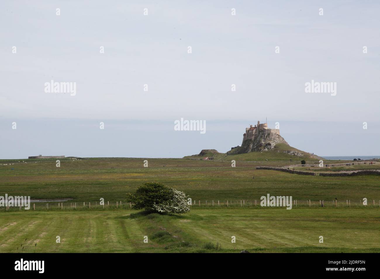 Lindisfarne Castle from Holy Island village, Holy Island, Northumberland. Stock Photo
