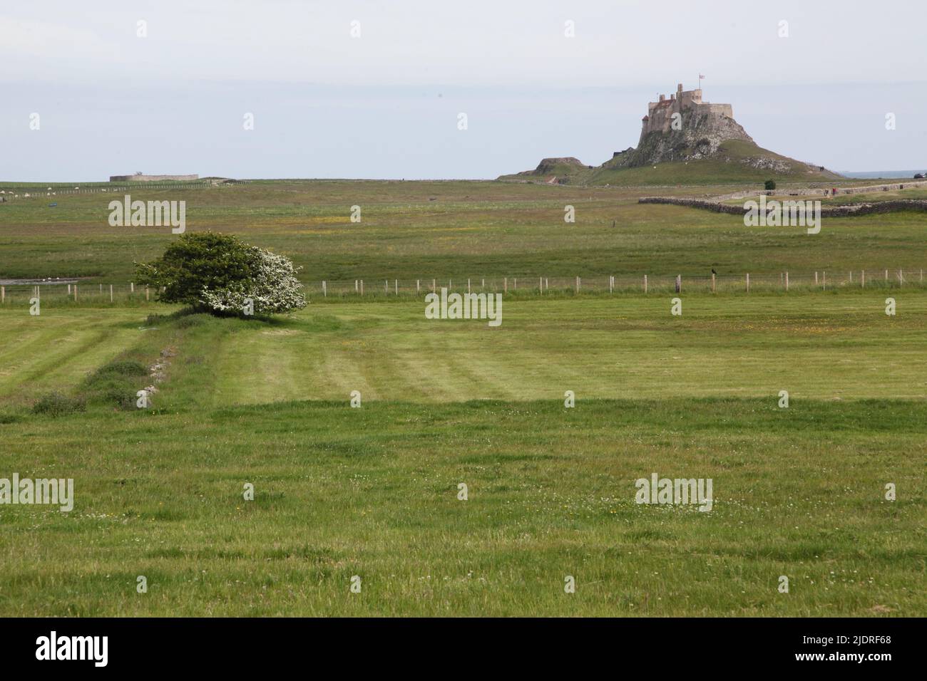 Lindisfarne Castle from Holy Island village, Holy Island