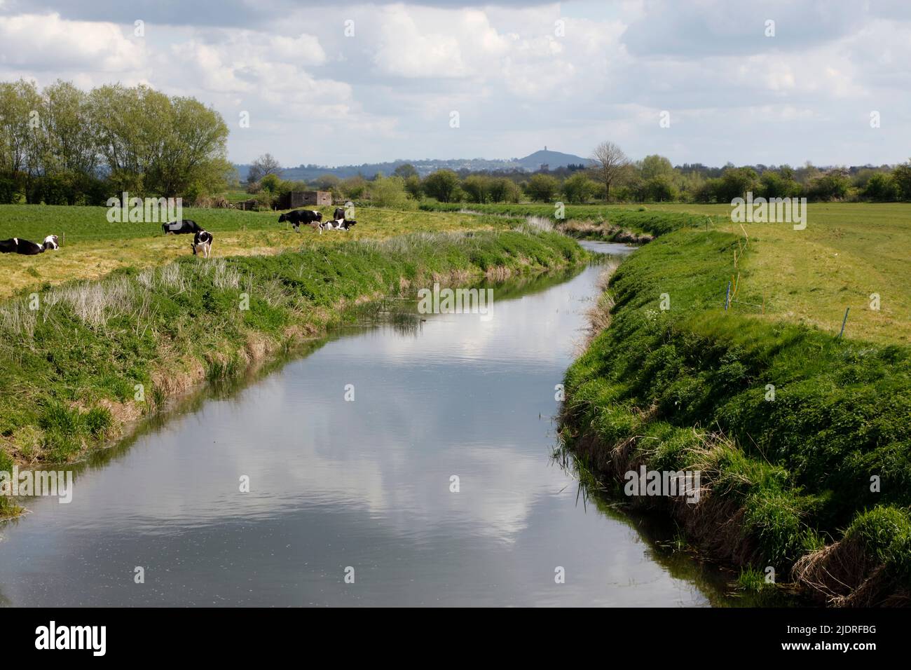 River Brue near Westhay, Somerset Levels, Somerset, England, UK. Glastonbury Tor can be seen in the far distance. Stock Photo