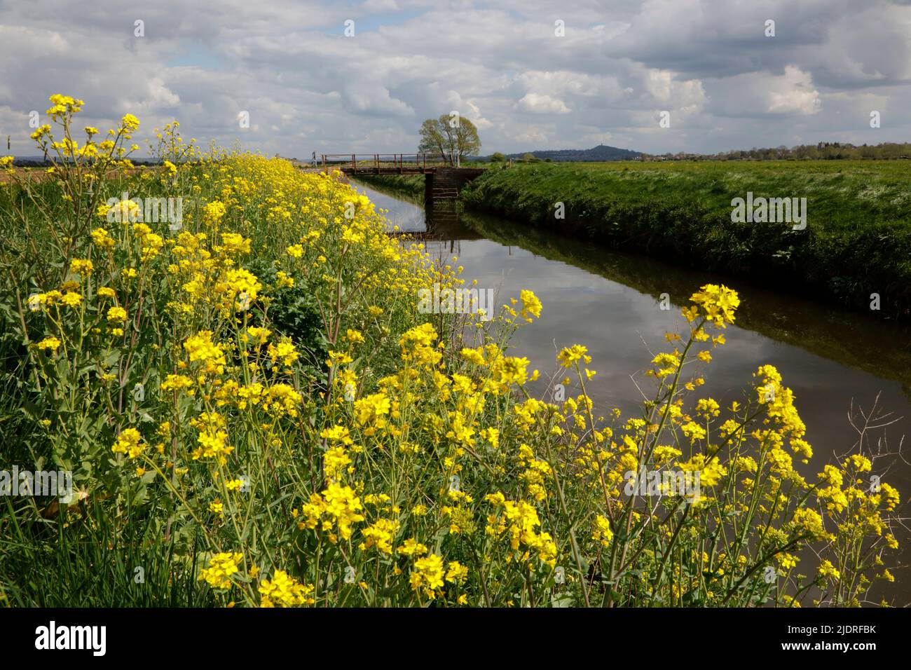 White’s River near Westhay, Somerset Levels, Somerset, England, UK. Glastonbury Tor can be seen in the far distance. Stock Photo