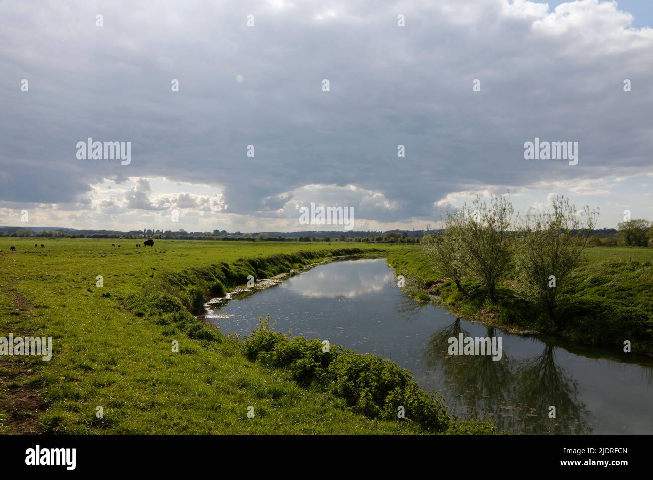 River Parrett at Muchelney, Somerset, England, UK Stock Photo