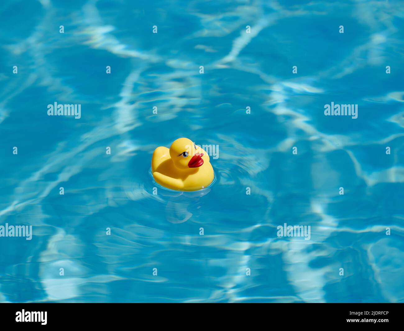 Rubber duck floating online