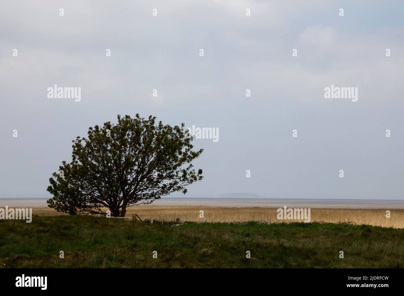 Looking across Bridgwater Bay to Steep Holm island from Steart Peninsula, Somerset, England, UK Stock Photo