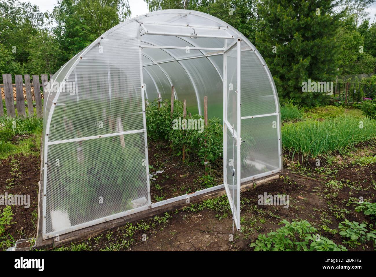 greenhouse in the garden. polycarbonate greenhouses in the garden. Open