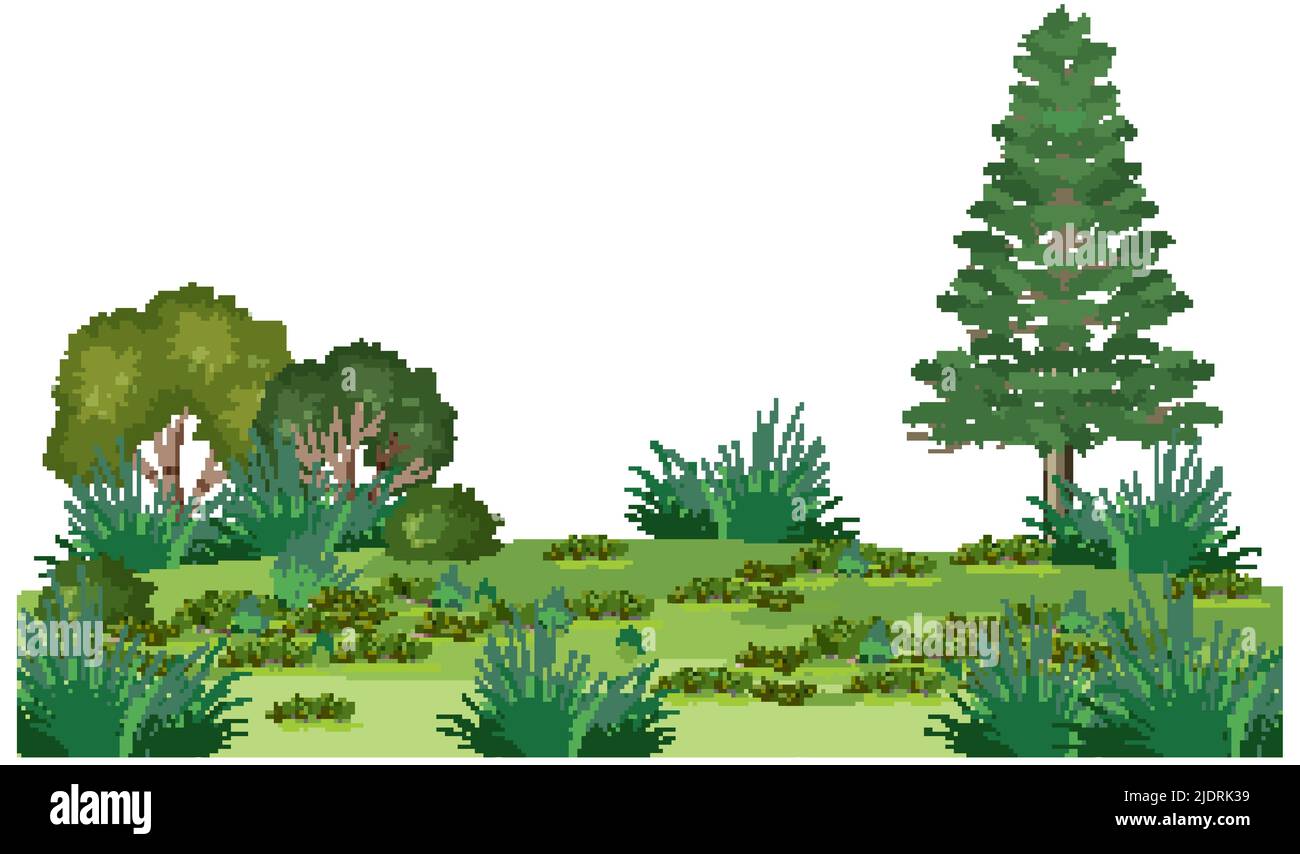 Isolated forest landscape on white background illustration Stock Vector ...