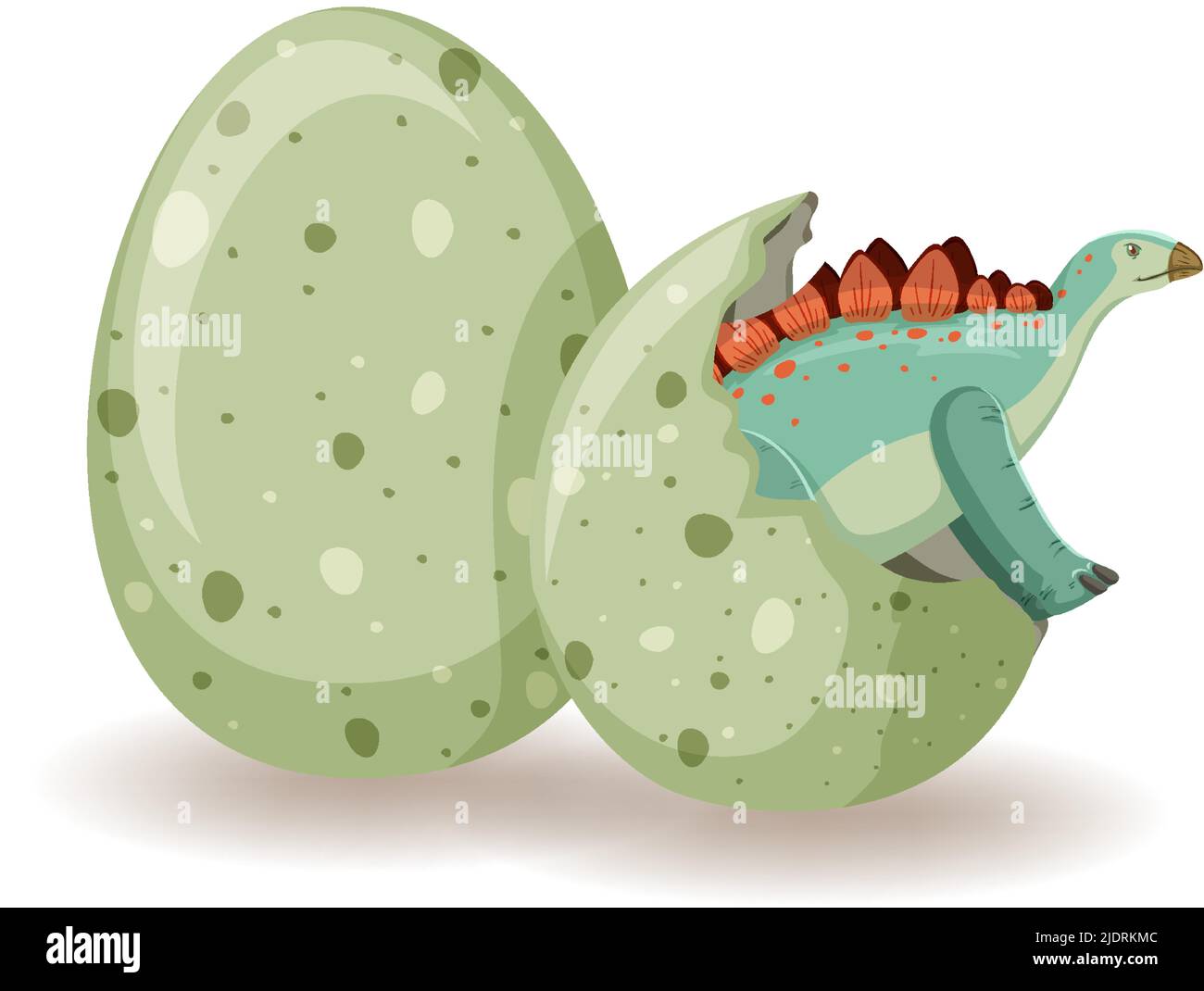 Stegosaurus hatching from egg illustration Stock Vector Image & Art - Alamy