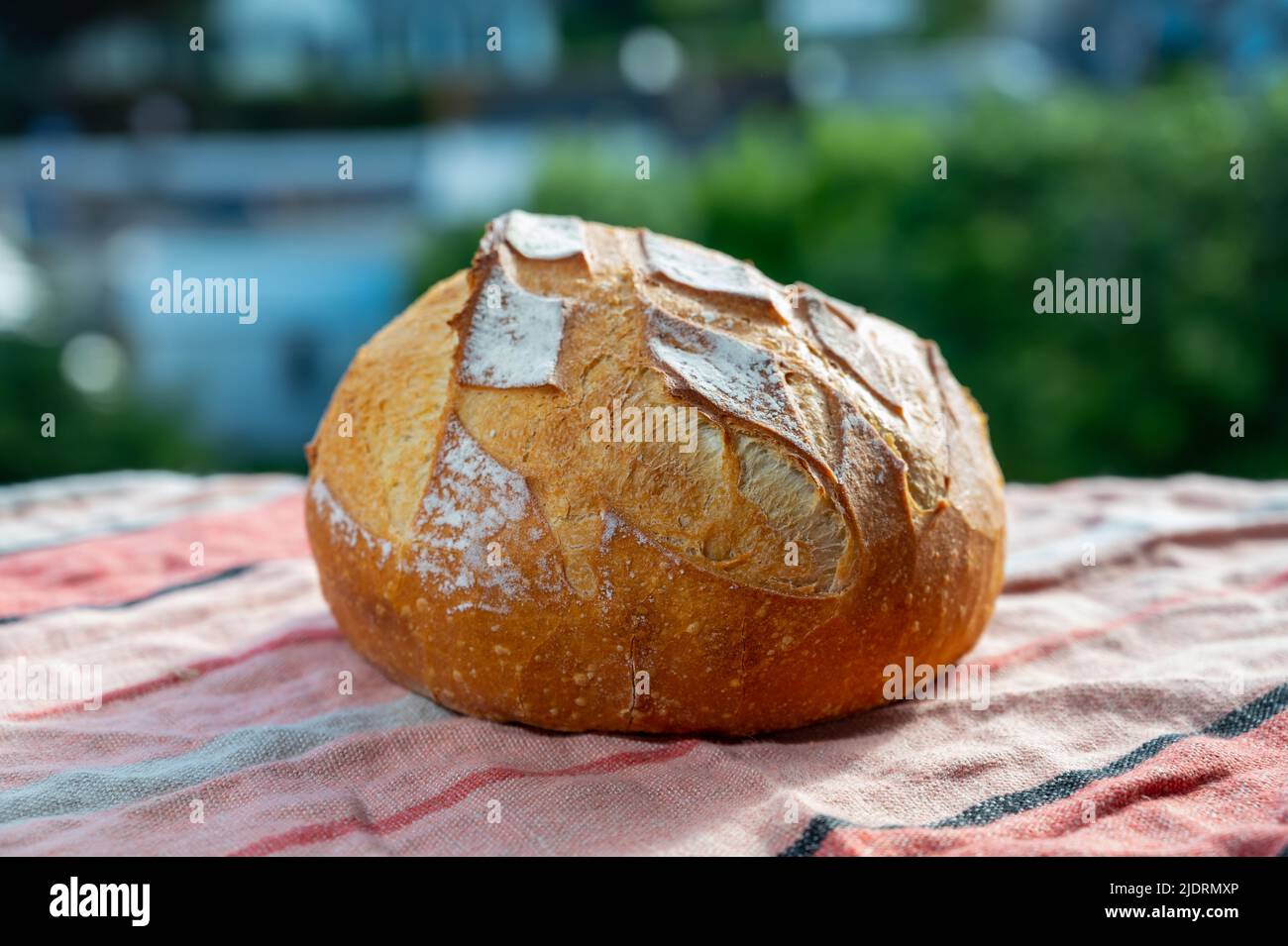 White wheat round baked farmers bread pain from artisanal French bakery ...