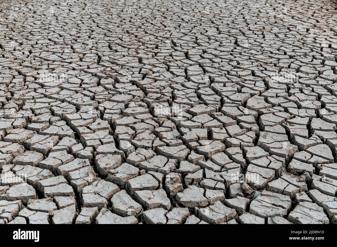 Global warming concept . Dry cracks in the land, serious water shortages. Drought concept. Stock Photo