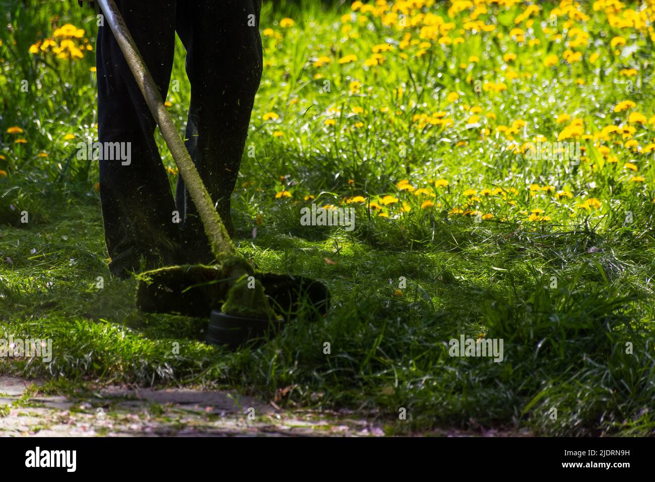 garden maintenance. green grass cut with equipment. use right tool for