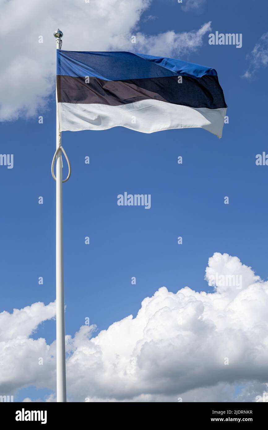 flag of Estonia flying in the wind Stock Photo - Alamy