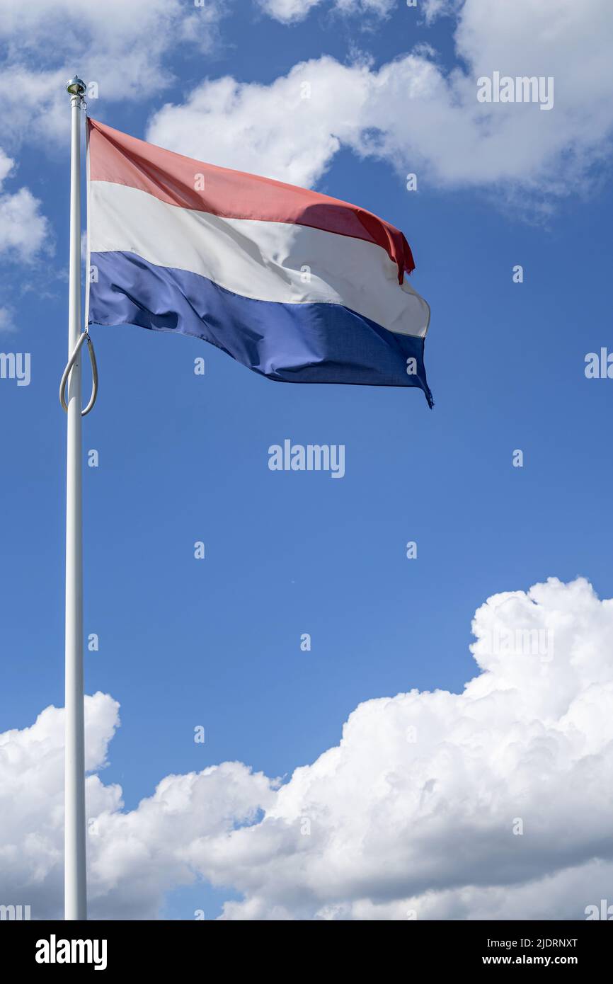 flag of the Netherlands flying in the wind Stock Photo - Alamy