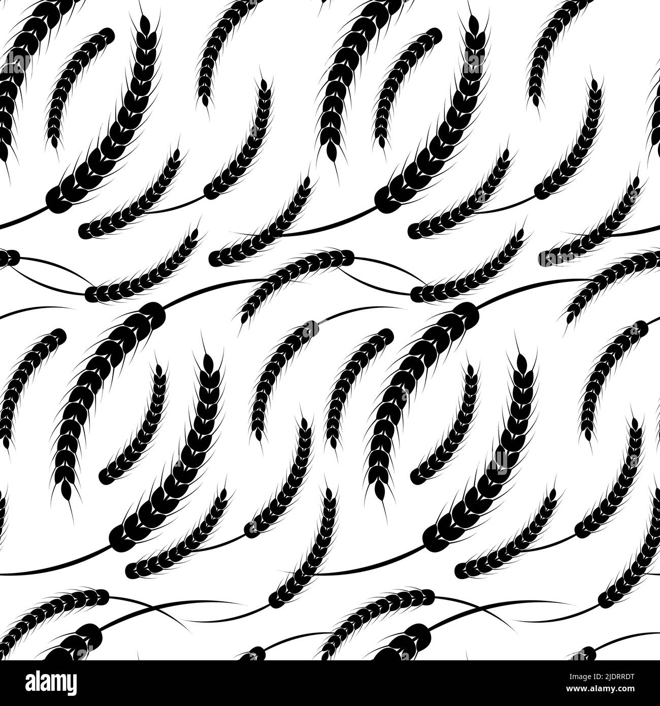 Seamless pattern ears of wheat on a transparent background. Black and white vector illustration Stock Vector