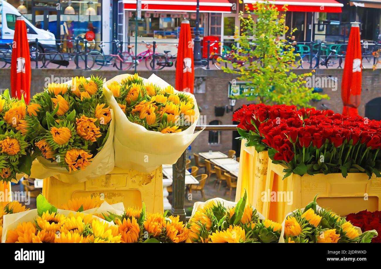 Typical traditional dutch flower market bouquets, yellow sunflowers and red tulips, water canal gracht - Utrecht, Netherlands Stock Photo