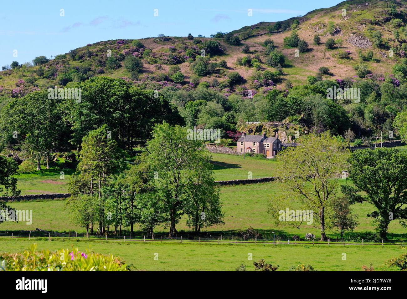 A remote cottage amongst moorland in the Eskdale valley on a summers day, Lake District Cumbria England UK Stock Photo