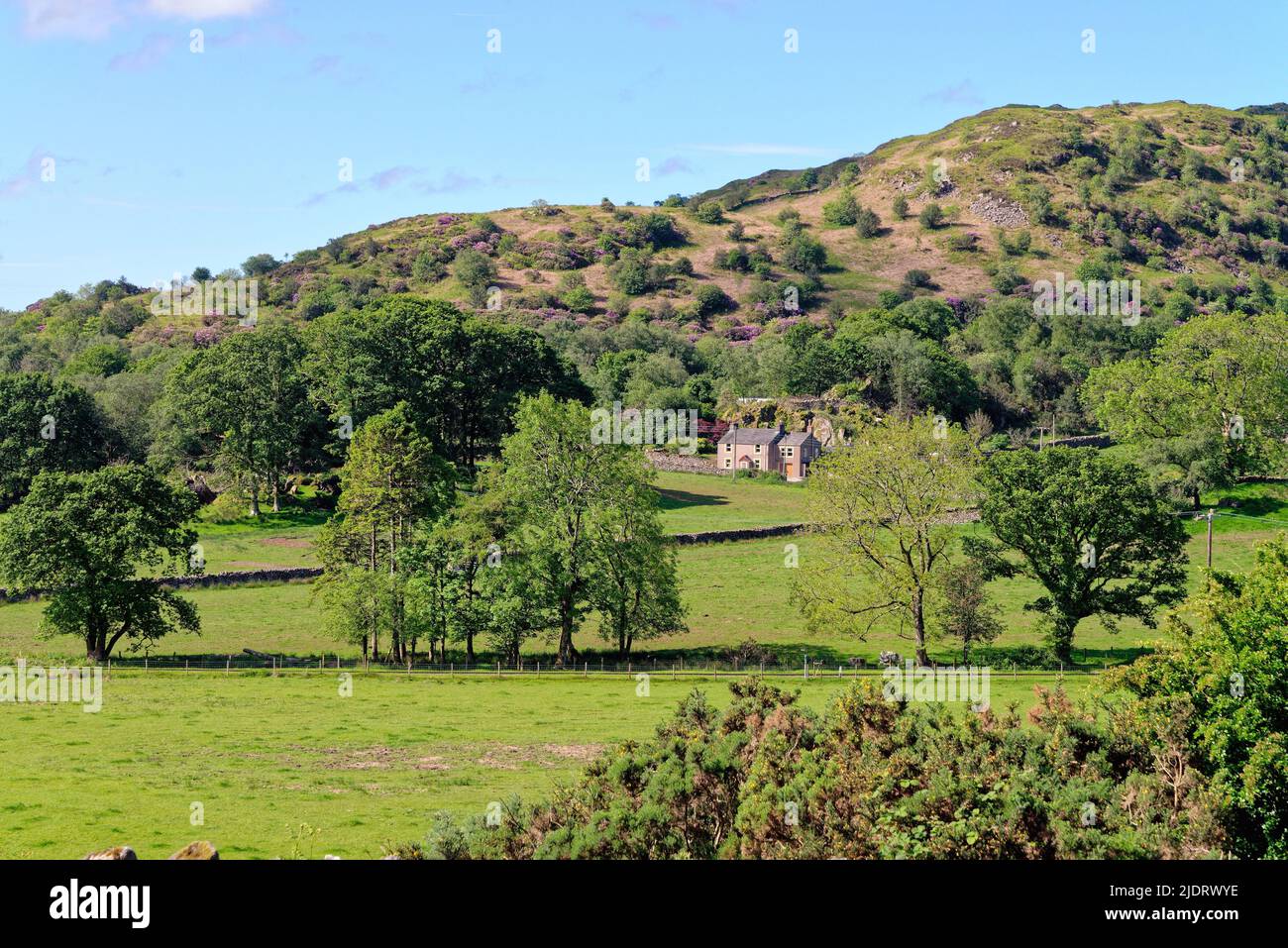 A remote cottage amongst  moorland in the Eskdale valley on a summers day, Lake District Cumbria England UK Stock Photo
