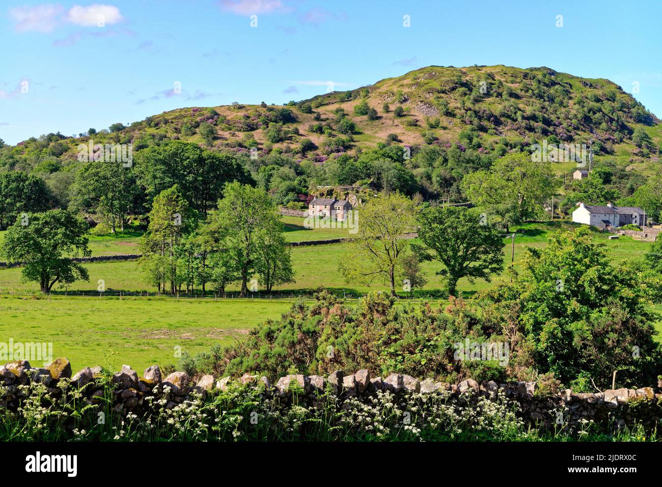 Two remote cottages amongst moorland in the Eskdale valley on a summers day, Lake District Cumbria England UK Stock Photo