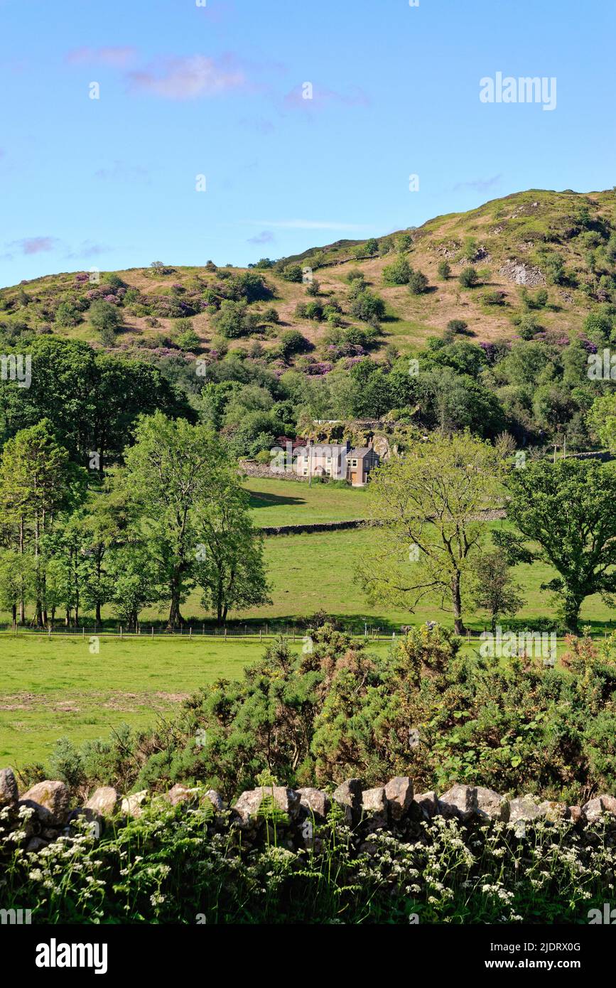 A remote cottage amongst moorland in the Eskdale valley on a summers day, Lake District Cumbria England UK Stock Photo