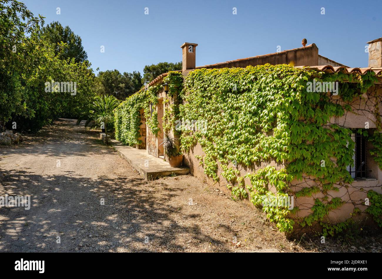 Finca vacation on Mallorca Stock Photo