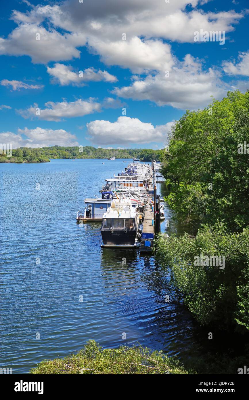 Beautiful scenic dutch lake, yacht harbour, green forest, blue summer sky - Leukermeer, Netherlands Stock Photo