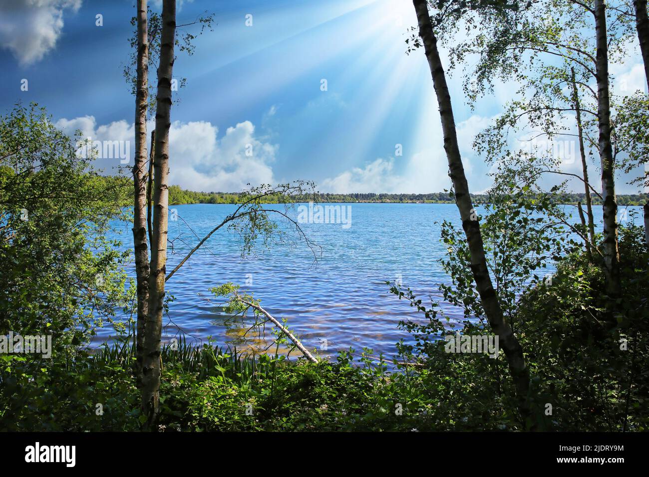 Beautiful idyllic dutch morning lake scenery landscape, forest trees, sun rays - Maasduinen NP, Netherlands Stock Photo