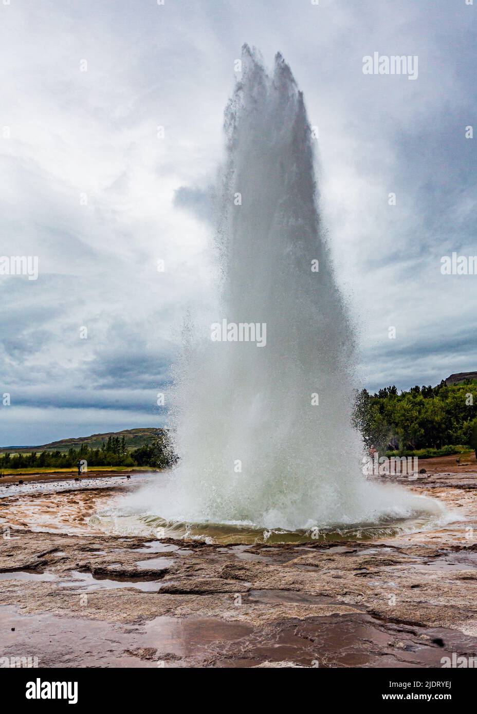 The great geyser at Geysir, Iceland in full erruption. August 2015 Stock Photo Alamy