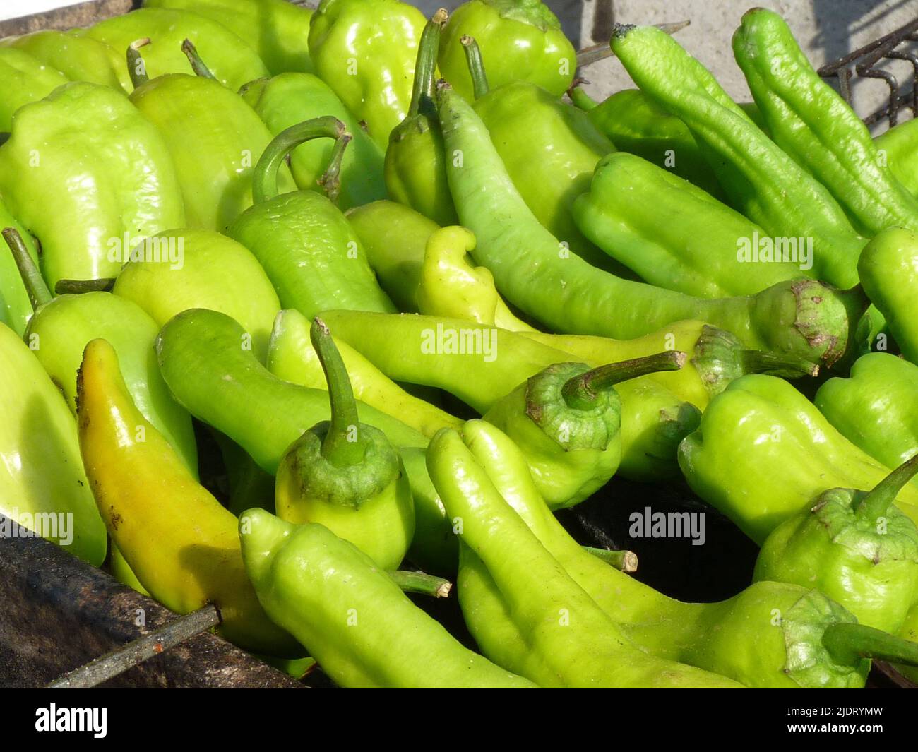 roasted green pepper on barbecue Stock Photo Alamy