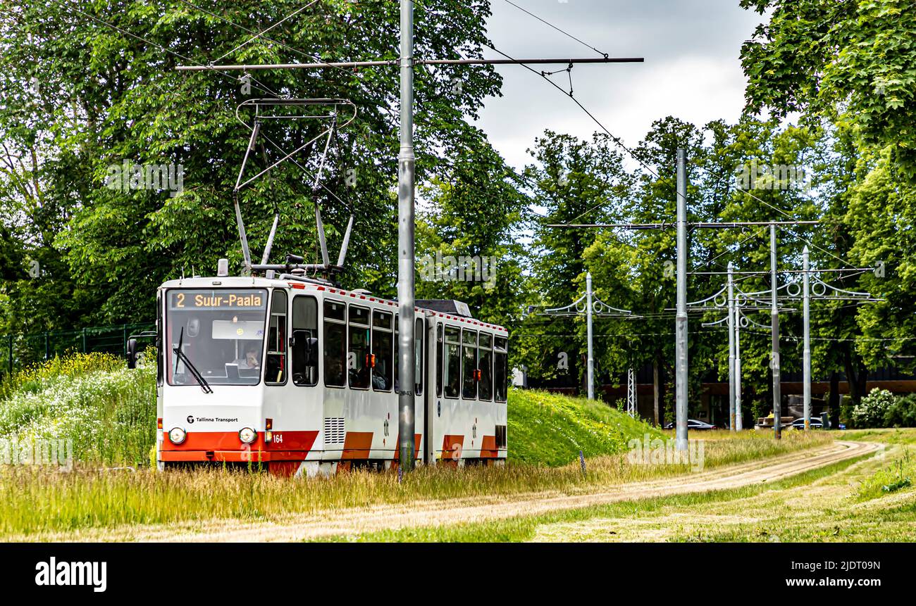 A Tallinna Transport tram running through a meadow by Põhja puiestee in Tallinn, Estonia. Stock Photo