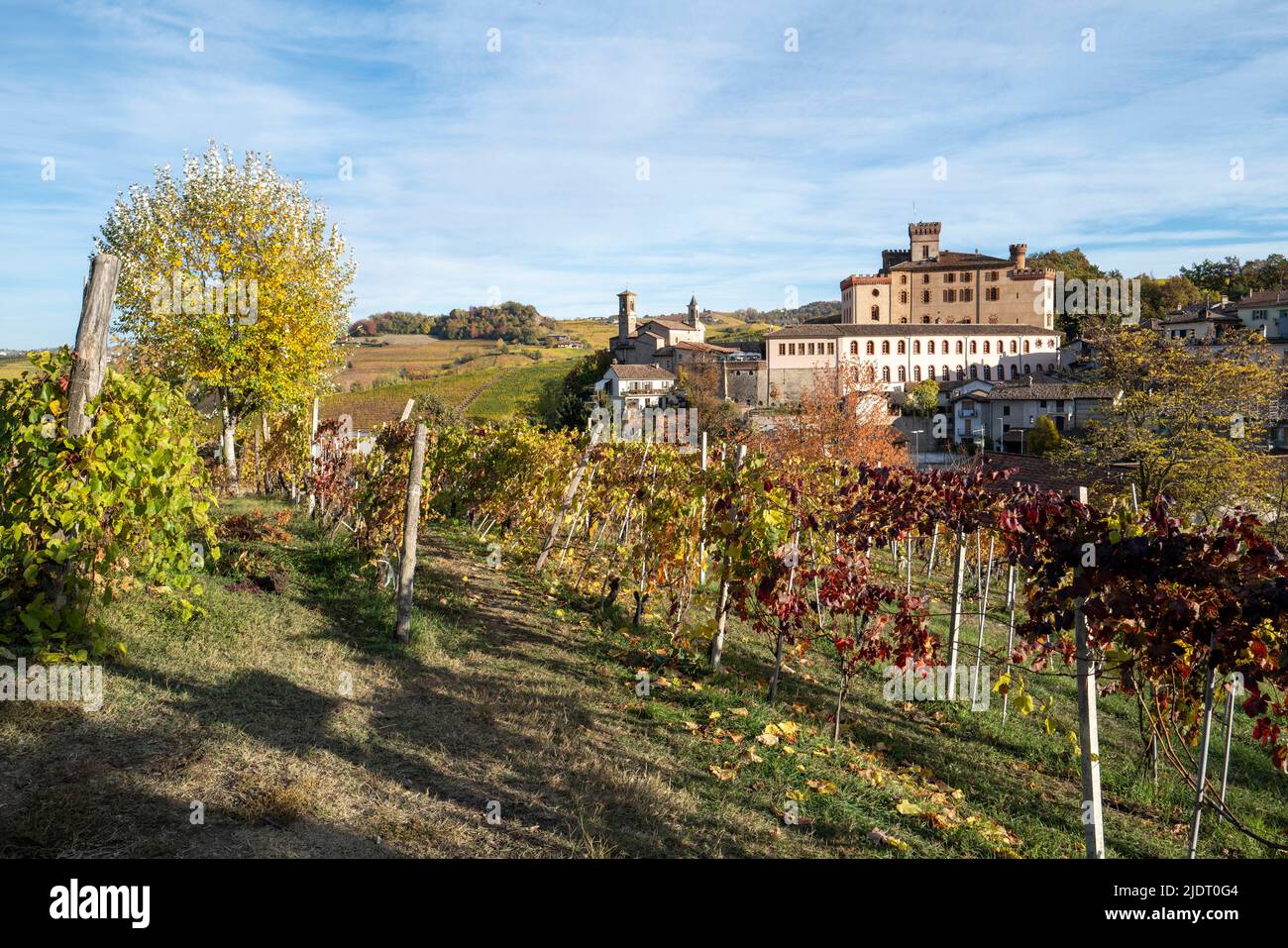 A vineyard on the outskirts of Barolo, Cuneo, Piedmonte with the village of Barolo in the background Stock Photo