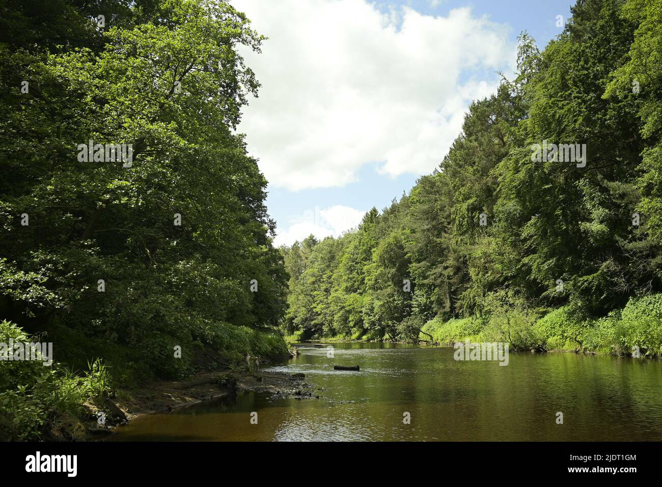 River curve hi-res stock photography and images - Alamy