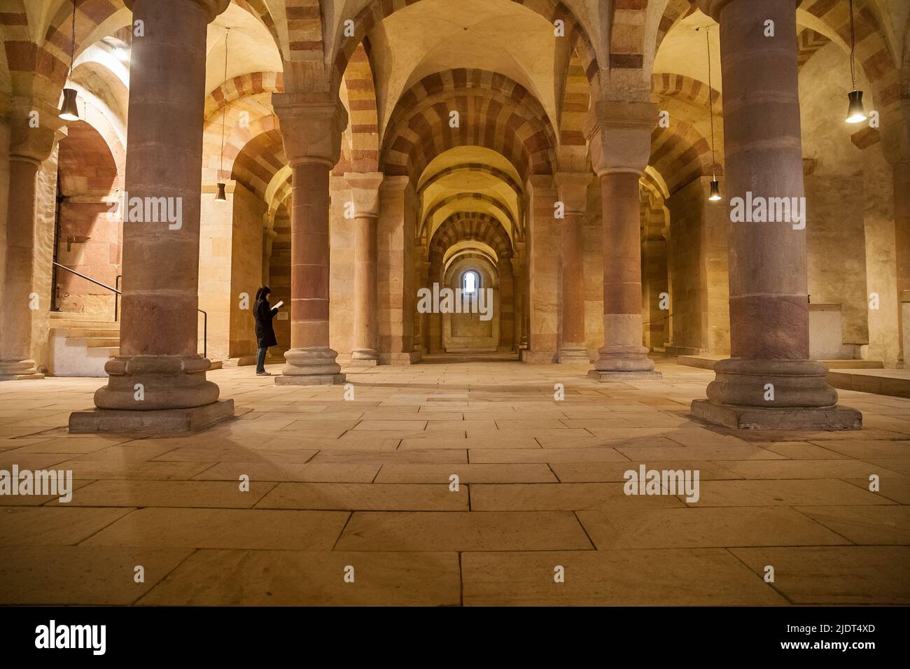 Magnificent view of the monumental crypt of the Speyer Cathedral in Germany, the largest Romanesque columned hall crypt in Europe. Forty-two... Stock Photo