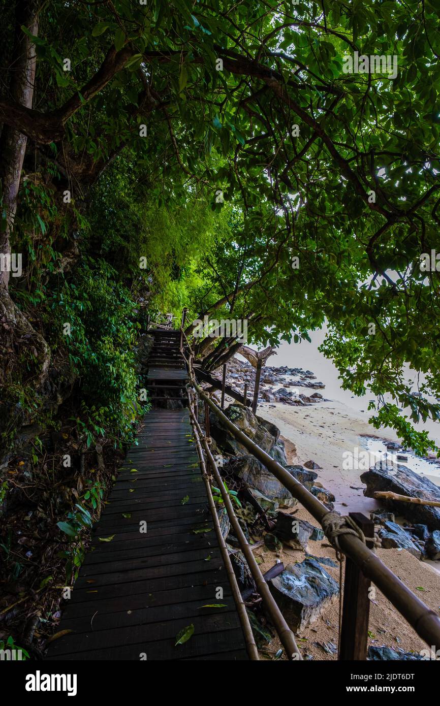 Aonang Krabi Thailand, monkey trail in Krabi Thailand wich leads to Pai